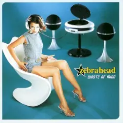 Waste of Mind by Zebrahead