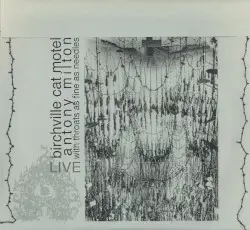 Live by Birchville Cat Motel / Antony Milton / With Throats as Fine as Needles