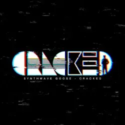 Cracked by Synthwave Goose