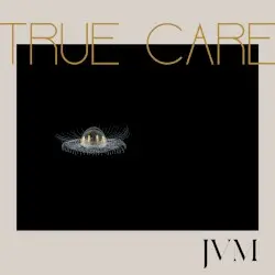 True Care by James Vincent McMorrow