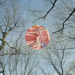 Glean by They Might Be Giants