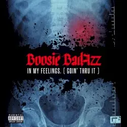 In My Feelings. (Goin’ Thru It) by Boosie BadAzz