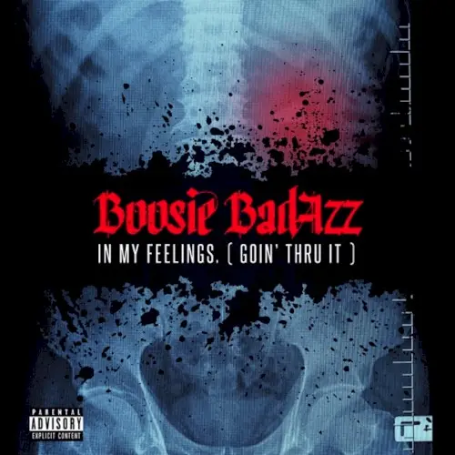 In My Feelings. (Goin’ Thru It) by Boosie BadAzz