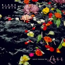 Only Things We Love by Blaqk Audio