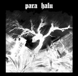 No Para Full Halu by Para Halu