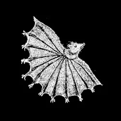 Ignore Grief by Xiu Xiu