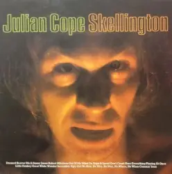 The Skellington Chronicles by Julian Cope