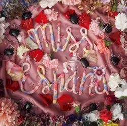 Niebla Mental by Miss España