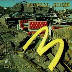 Not So Tough Now by Frenzal Rhomb