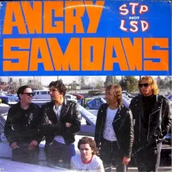 STP Not LSD by Angry Samoans