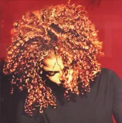 The Velvet Rope by Janet Jackson