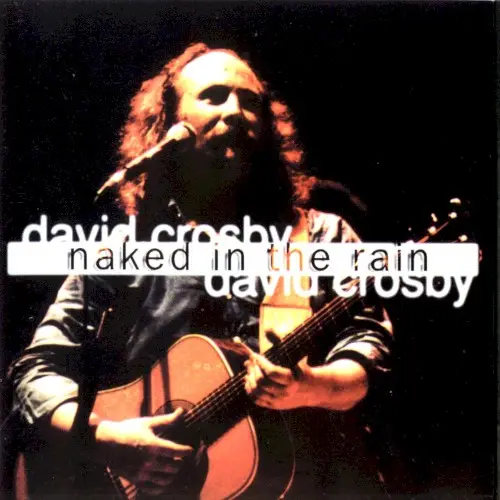 Naked In The Rain by David Crosby