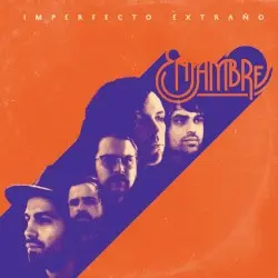 Imperfecto extraño by Enjambre