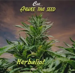 Herbalist by Aywee Tha Seed