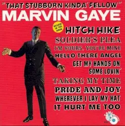 That Stubborn Kinda’ Fellow by Marvin Gaye