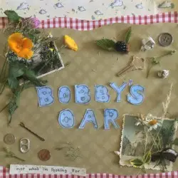 Not What I'm Looking For by Bobby's Oar