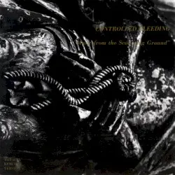 Music From the Scourging Ground by Controlled Bleeding