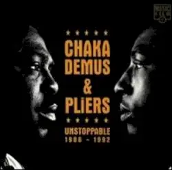 Unstoppable (1986-1992) by Chaka Demus & Pliers