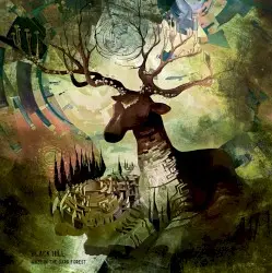 Maze in the Dark Forest by Black Hill