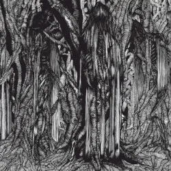 Black One by Sunn O)))