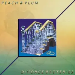 Divorce Batteries by Peach & Plum