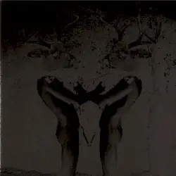 Turn It Up Faggot by Deerhunter