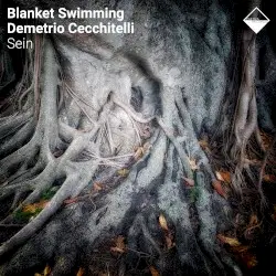 Sein by Blanket Swimming & Demetrio Cecchitelli