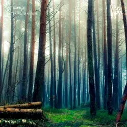 Listening to Nature by AstroPilot