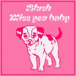 Miss You Baby by Blush