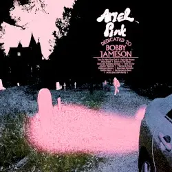 Dedicated to Bobby Jameson by Ariel Pink