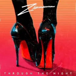 THROUGH THE NIGHT by Peter Zimmermann