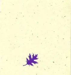 Liminology by Lawrence English