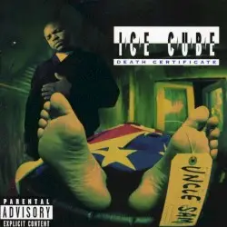 Death Certificate by Ice Cube