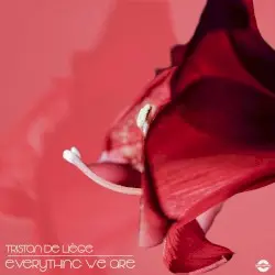 Everything We Are by Tristan de Liège