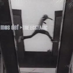 The Ecstatic by Mos Def