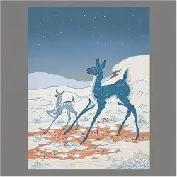 The Brave and the Bold by Tortoise & Bonnie ‘Prince’ Billy