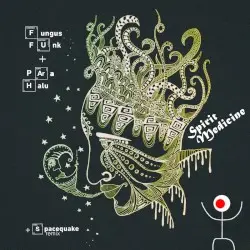 Spirit Medicine by Fungus Funk & Para Halu