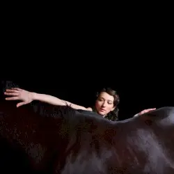 Bring Me the Workhorse by My Brightest Diamond