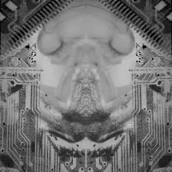 Shell by Neurolucifer