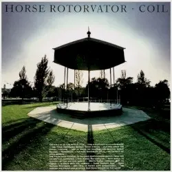 Horse Rotorvator by Coil