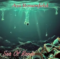 Sea Of Reeds by Avi Rosenfeld