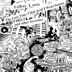 The Last Time I Did Acid I Went Insane by Jeffrey Lewis