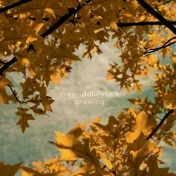 Growing by Purl & Deflektion