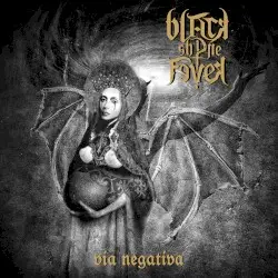 Via Negativa by Black Shine Fever