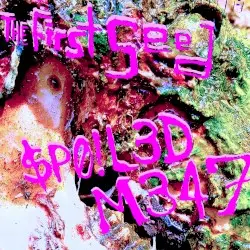 $P0!L3D M347 by The First Seed