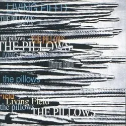 LIVING FIELD by the pillows