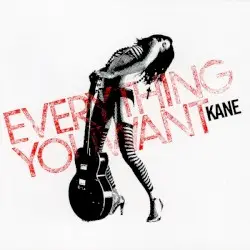 Everything You Want by Kane