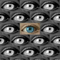 Crazy Eye by Bicep