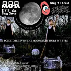SOMETIMES EVEN THE MOONLIGHT HURT MY EYES by Slug Christ