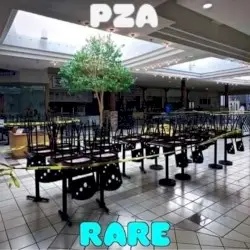 RARE by PZA